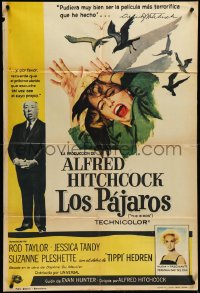 3r0550 BIRDS Spanish 1963 director Alfred Hitchcock shown, Tippi Hedren, ultra rare!