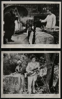 3t1673 BRIDE & THE BEAST 2 8x10 stills 1958 great images of gorilla & men in jungle, Ed Wood!