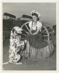 3t1469 OLIVIA DE HAVILLAND 8.25x10 still 1940 with adorable Dalmatian dog at farm by Welbourne!