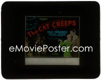 3t1221 CAT CREEPS glass slide 1930 Helen Twelvetrees, cool feline horror art, ultra rare!