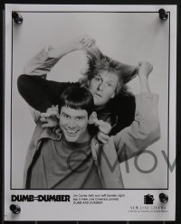 3t1632 DUMB & DUMBER 6 8x10 stills 1995 Jim Carrey & Jeff Daniels are Harry & Lloyd!