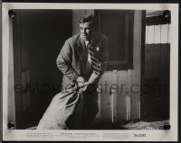 3t1680 KILLING 2 8x10 stills 1956 Sterling Hayden, directed by Stanley Kubrick!