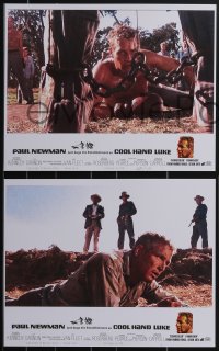 3t0387 COOL HAND LUKE signed #1/3 set of 12 faux LCs 2021 scenes you would have liked to see!