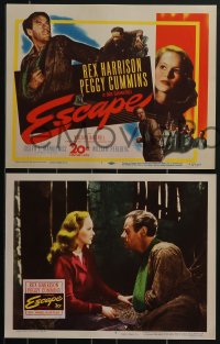 3t0515 ESCAPE 8 LCs 1948 Rex Harrison, pretty Peggy Cummins, prison escape!