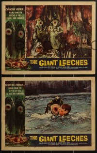 3t0572 GIANT LEECHES 7 LCs 1959 Dan White, Ken Clark, Yvette Vickers, Jan Shepard!