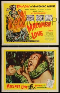 3t0531 MACUMBA LOVE 8 LCs 1960 weird, shocking savagery in native jungle, cool tc art of voodoo queen