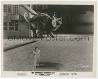 3y1400 INCREDIBLE SHRINKING MAN 8x10.25 still 1957 special effects image of tiny man & giant cat!