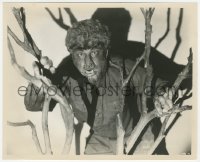 3y1531 WOLF MAN 8x10 still 1941 wonderful close up of Lon Chaney in full werewolf monster makeup!