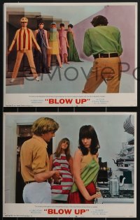 3y0680 BLOW-UP 8 LCs 1967 Michelangelo Antonioni, Vanessa Redgrave, David Hemmings, sexy models!