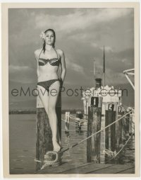 4f1331 DR. NO 7.25x9 news photo 1963 sexy Ursula Andress in swimsuit on Kingston Jamaica pier!