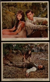 4f1088 GREEN MANSIONS 12 color English FOH LCs 1959 pretty Audrey Hepburn & Anthony Perkins!