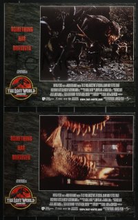 4f0618 JURASSIC PARK 2 8 LCs 1996 The Lost World, Steven Spielberg, something has survived!