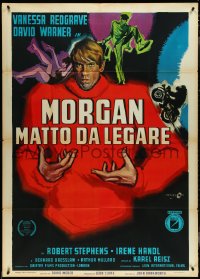 4j0238 MORGAN Italian 1p 1966 Vanessa Redgrave, David Warner, black comedy, different Cesselon art!