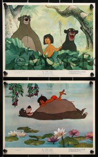 4j1359 JUNGLE BOOK 8 color 8x10 stills 1967 Disney, cartoon images of Mowgli & his friends, rare!