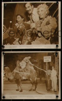 4j1350 NIGHT IN CASABLANCA 9 8x10 stills 1946 Marx Brothers, Groucho, Chico & Harpo!