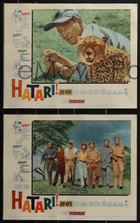 4j0657 HATARI 8 LCs 1962 Howard Hawks, John Wayne in Africa, Elsa Martinelli!