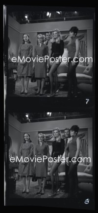 4m0525 FARMER'S DAUGHTER group of 12 2.25x2.25 negatives and 8 4x5 negatives 1965 Inger Stevens, candids!