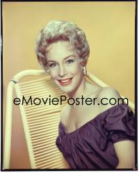 4m0205 BARBARA EDEN group of 4 8x10 transparencies 1950s great portraits of the sexy blonde star!