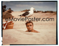 4m0255 BEDTIME STORY group of 3 4x5 transparencies 1964 great images of Marlon Brando & David Niven!