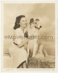 4p1256 GAY SISTERS 8x10.25 still 1942 c/u of smiling Barbara Stanwyck with her collie dog!