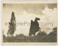 4p1265 HEADLESS HORSEMAN 8x10 key book still 1922 great far shot, The Legend of Sleepy Hollow!