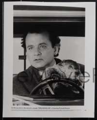 4p1106 GROUNDHOG DAY 7 8x10 stills 1993 Bill Murray, Andie MacDowell, Ramis, don't drive angry!