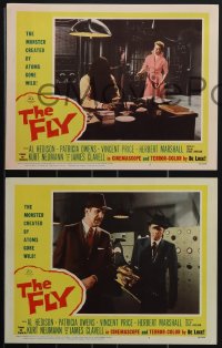 4p0592 FLY 7 LCs 1958 Vincent Price, Patricia Owens had to kill the thing her husband had become!