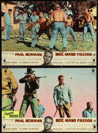 4r0411 COOL HAND LUKE set of 7 Italian 18x27 pbustas 1967 Paul Newman, prison escape, different!