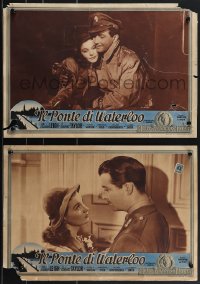 4r0441 WATERLOO BRIDGE set of 2 Italian 13x19 pbustas R1951 Vivien Leigh & Robert Taylor in uniform!