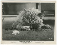 4t1531 INCREDIBLE SHRINKING MAN 8x10.25 still 1957 FX image of Grant Williams fighting off giant cat!