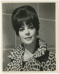 4t1595 NATALIE WOOD 8x10.25 still 1966 MGM portrait wearing leopardskin coat from Penelope!