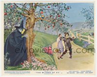 4t1407 WIZARD OF OZ color English FOH LC R1955 Wicked Witch of the West spies on Dorothy & Scarecrow!