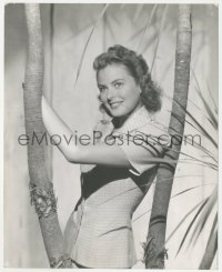 4y0272 CASABLANCA candid deluxe 7.25x9 still 1942 portrait of beautiful Ingrid Bergman posing by tree!