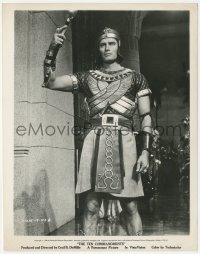 4y1291 TEN COMMANDMENTS 8x10.25 still 1956 wonderful portrait of Charlton Heston as young Moses!