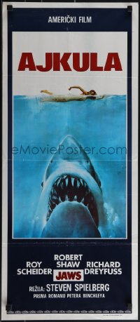 4z0188 JAWS Yugoslavian 14x32 1975 Spielberg's classic man-eating shark attacking swimmer, Ajkula!