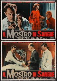 5a0322 TINGLER group of 5 linen Italian 19x27 pbustas 1962 William Castle, Vincent Price, different!