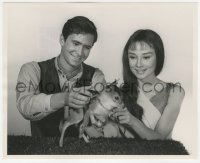 5b1811 GREEN MANSIONS candid deluxe 8x10 still 1959 Audrey Hepburn & Anthony Perkins with baby deer!