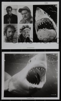 5b1686 JAWS 3 8x10 stills 1975 Shaw, Dreyfuss, Scheider, Gary, real shark, Spielberg's classic!