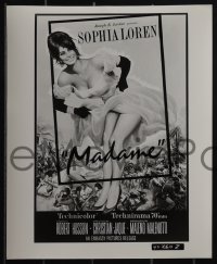 5b1667 MADAME SANS GENE 4 8x10 stills R1963 all poster art with sexy Sophia Loren showing her leg!