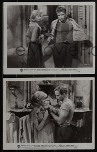 5b1629 STREETCAR NAMED DESIRE 8 8x10 stills 1951 Marlon Brando, Leigh, Hunter, Malden, classic!