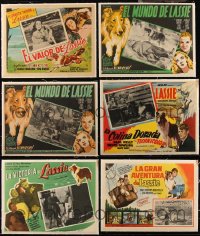 5d0114 LOT OF 6 LASSIE LINENBACKED MEXICAN LOBBY CARDS 1940s-1950s great Collie dog images!