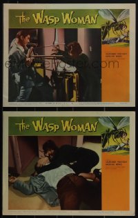 5f0589 WASP WOMAN 2 LCs 1959 Roger Corman, both scenes show the female insect-headed monster!