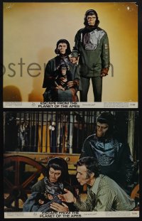 5f0092 ESCAPE FROM THE PLANET OF THE APES 6 color 11x14 stills 1971 Milo has Washington terrified!