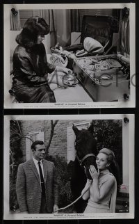 5f1279 MARNIE 16 8x10 stills 1964 Alfred Hitchcock, sexy Tippi Hedren, Sean Connery!