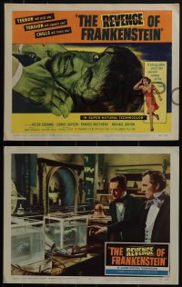 5f0511 REVENGE OF FRANKENSTEIN 8 LCs 1958 Hammer horror, Peter Cushing, Eunice Gayson, complete set!