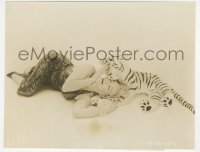 5j1821 PRINCE & THE SHOWGIRL candid 7.25x9.5 still 1957 sexy Marilyn Monroe & toy tiger enjoy a romp!