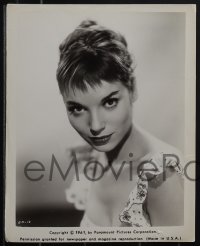 5j1888 ELSA MARTINELLI 11 from 8x10 to 8.25x11 stills 1960s portraits of the Italian star!