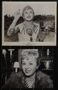 5j1970 NIGHTS OF CABIRIA 3 from 7x9.25 to 8x10 stills 1957 Fellini's La Notti di Cabiria, Masina!