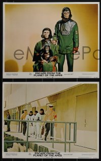 5j1498 ESCAPE FROM THE PLANET OF THE APES 8 LCs 1971 Roddy McDowall, Kim Hunter, Sal Mineo, Montalban