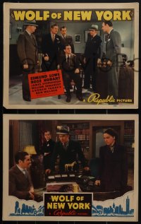 5j1583 WOLF OF NEW YORK 8 LCs 1940 William McGann directed, Edmund Lowe, Rose Hobart, great tc image!